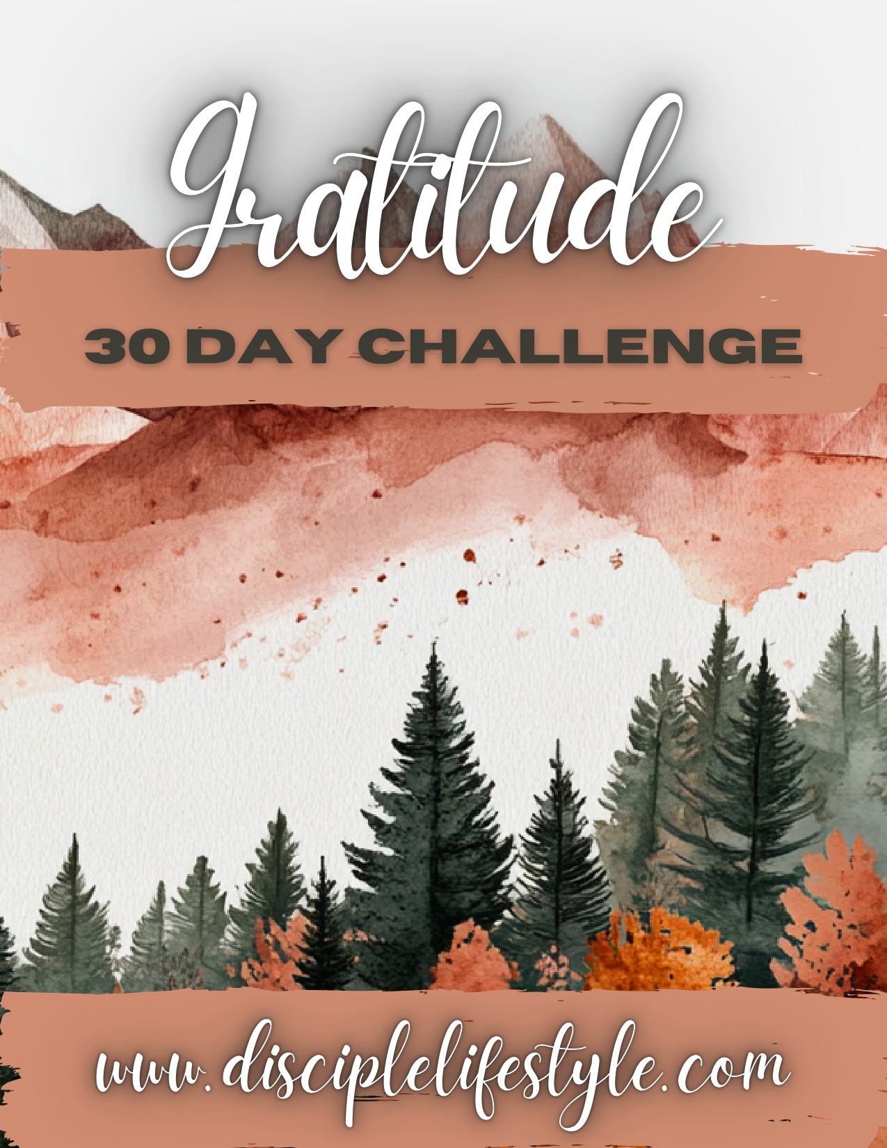 The 30 Day Gratitude Challenge cover